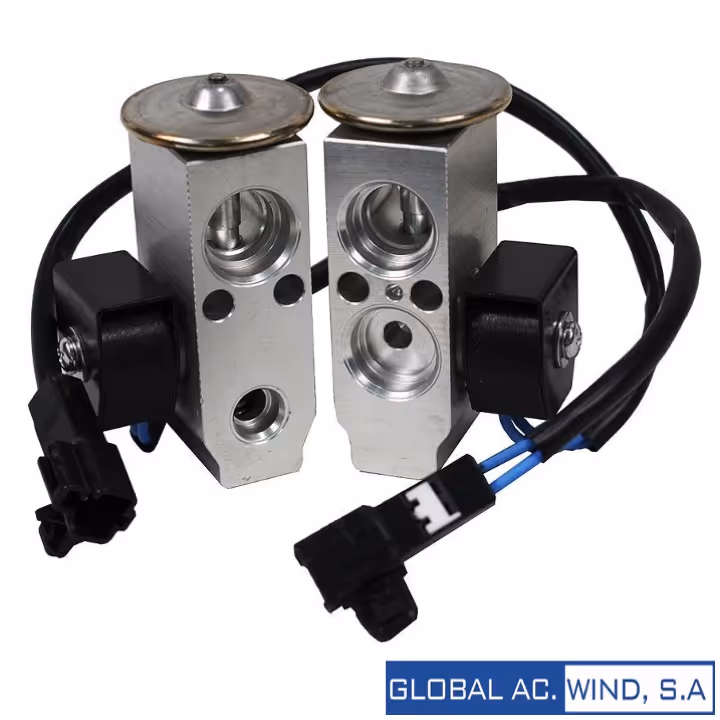 GW Válvula Expansion Lexus GX470 Trasera 98-07 (Land Cruiser 98-07) GW VE0114W Colombia