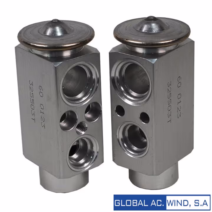 GW Válvula Expansion International Prostar 11-17 (WorkStar 7600, WorkStar 7700 11-12) GW VE0123W Colombia